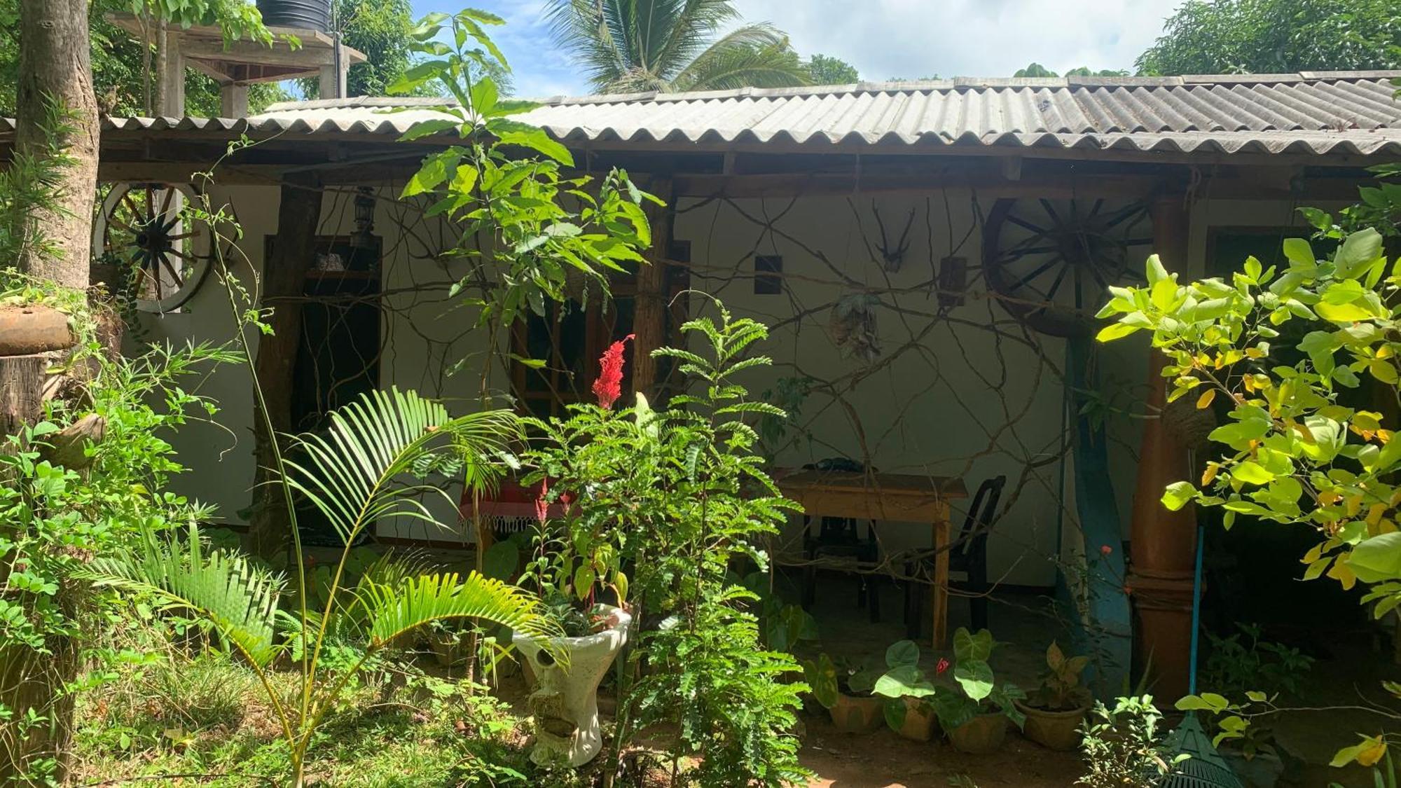 Sigiri Birds Hostel Сигирия Экстерьер фото